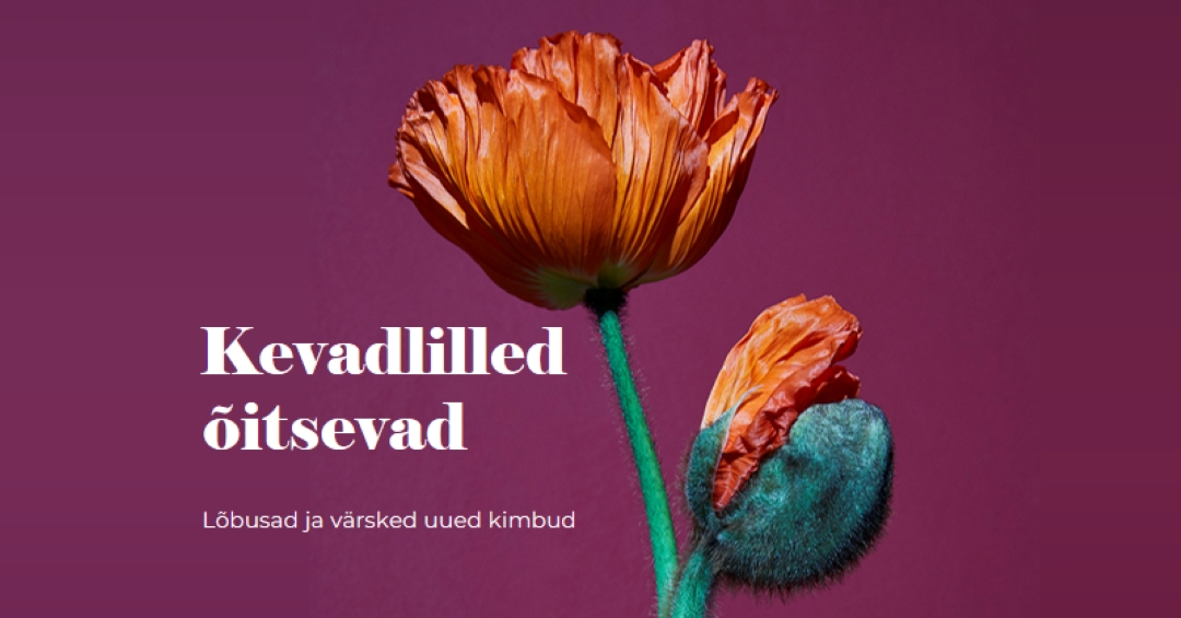 Värsked lilled purple modern-simple