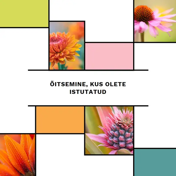 Õitsemine, kus olete istutatud white modern-geo-&-linear