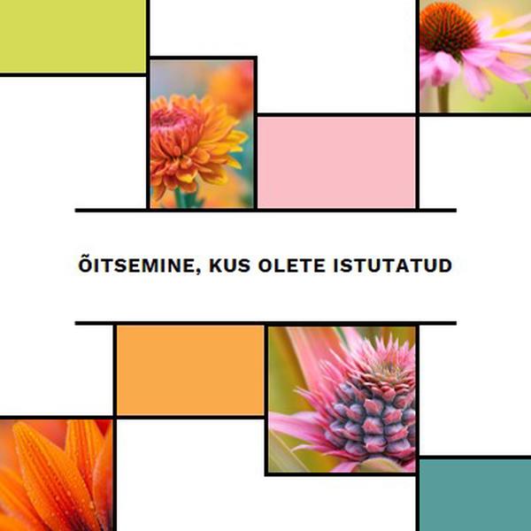 Õitsemine, kus olete istutatud white modern-geo-&-linear