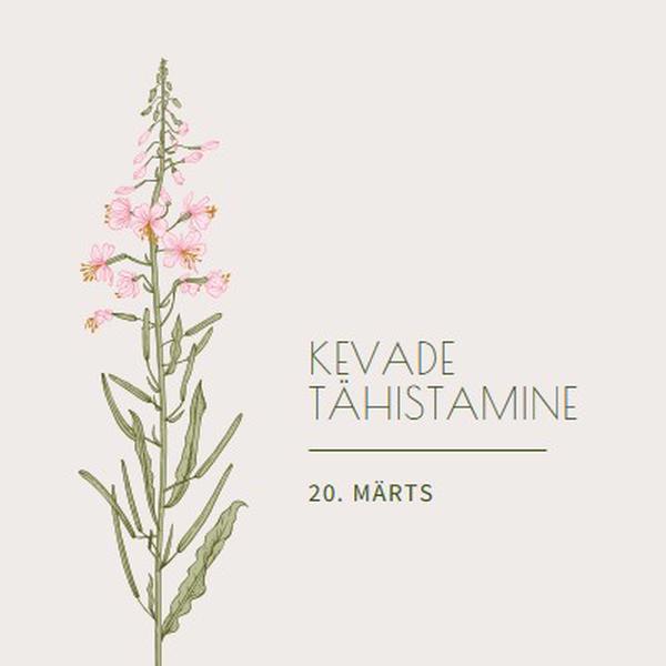 Kevade tähistamine white vintage-botanical