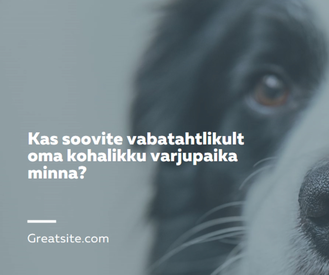 Vabatahtlik ja too rõõmsammu blue modern-simple