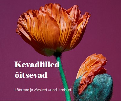 Värsked lilled purple modern-simple