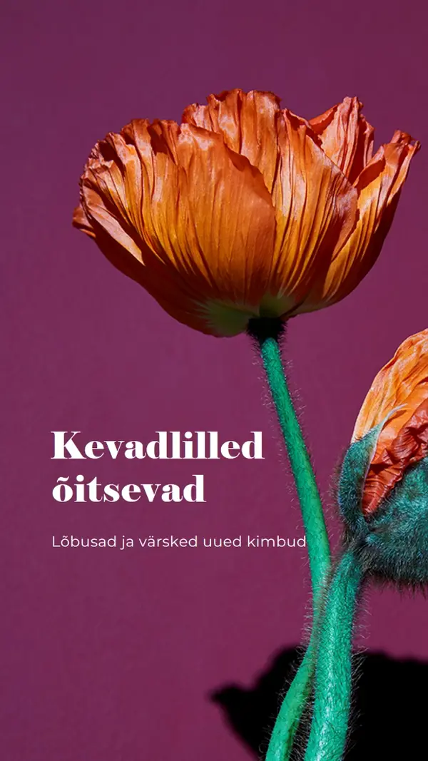Värsked lilled purple modern-simple