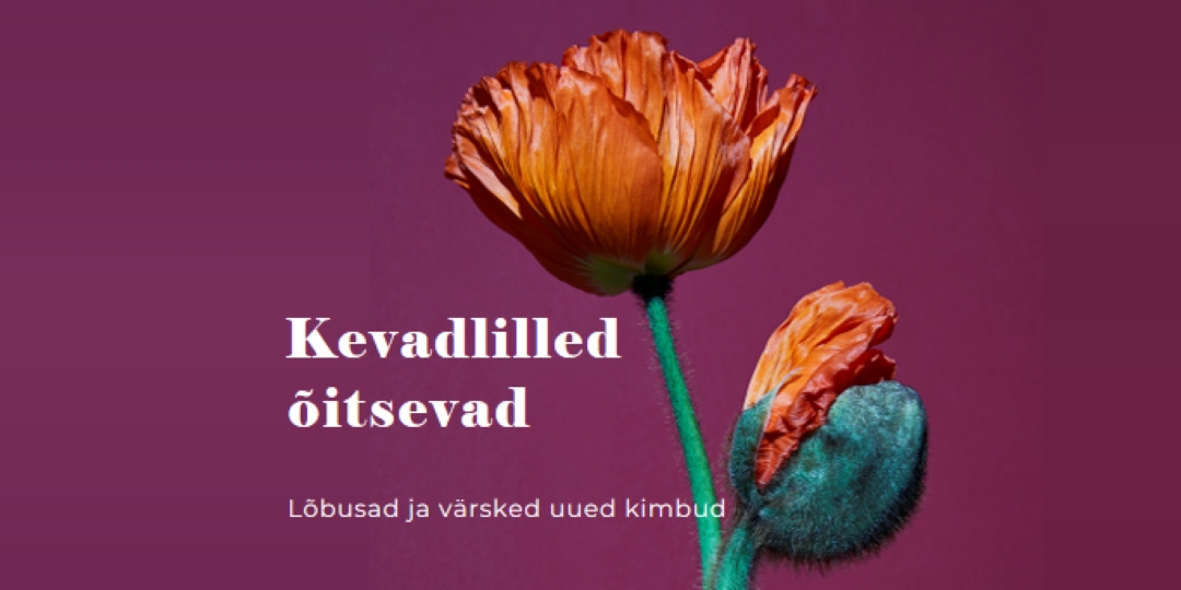 Värsked lilled purple modern-simple