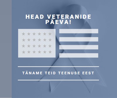 USA veteranide auks gray modern-simple