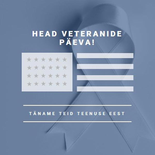 USA veteranide auks gray modern-simple