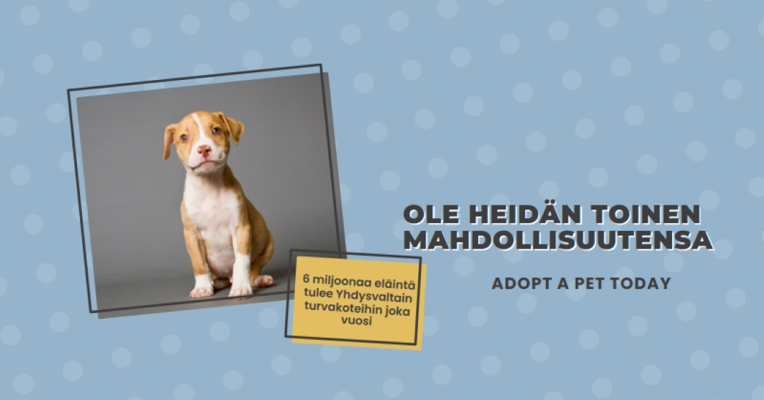 Toisen mahdollisuuden pentu blue modern-bold