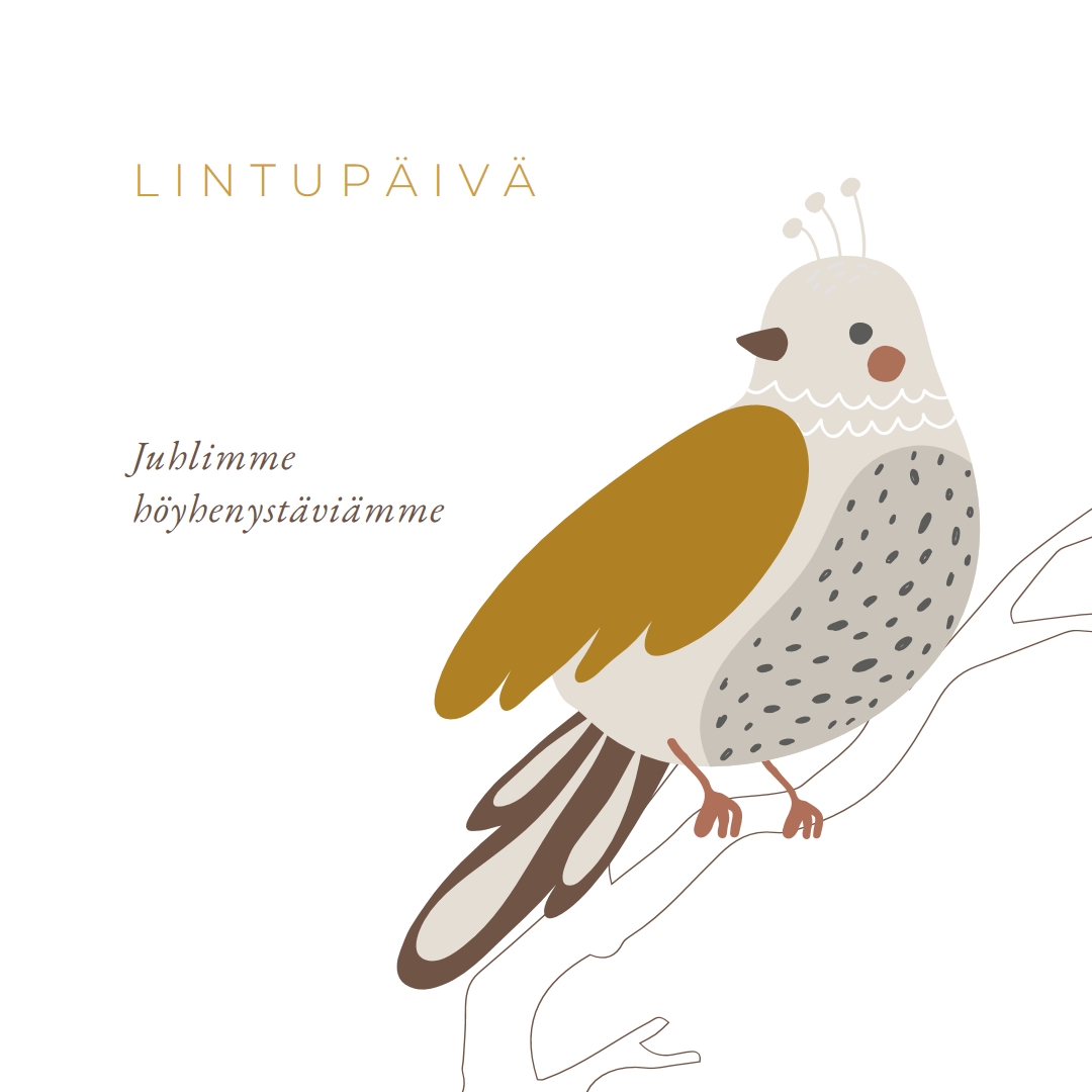 Sky on rajana white whimsical-line