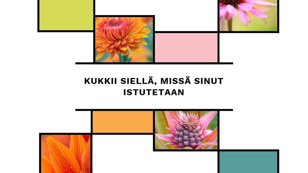 Kukankukka, johon istutat white modern-geo-&-linear