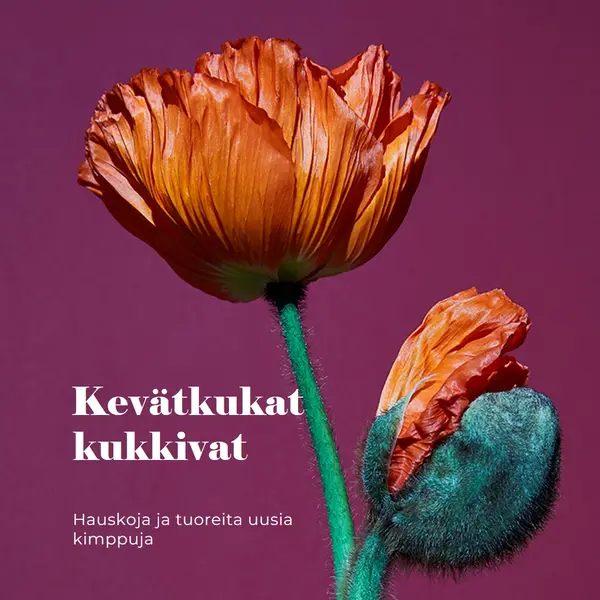 Tuoreet kukat purple modern-simple