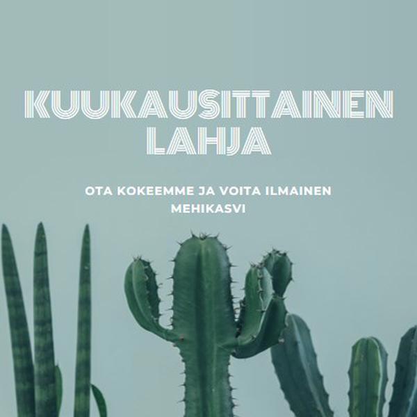 Kuukausittainen lahjakoe green modern-simple