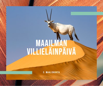 Villieläimiä juhlitaan orange modern-bold