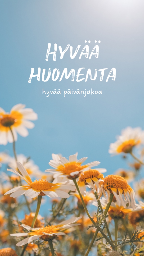 Hyvää päivänjakoa blue modern,simple,photography,flowers,birght,fresh