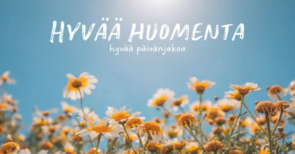 Hyvää päivänjakoa blue modern,simple,photography,flowers,birght,fresh