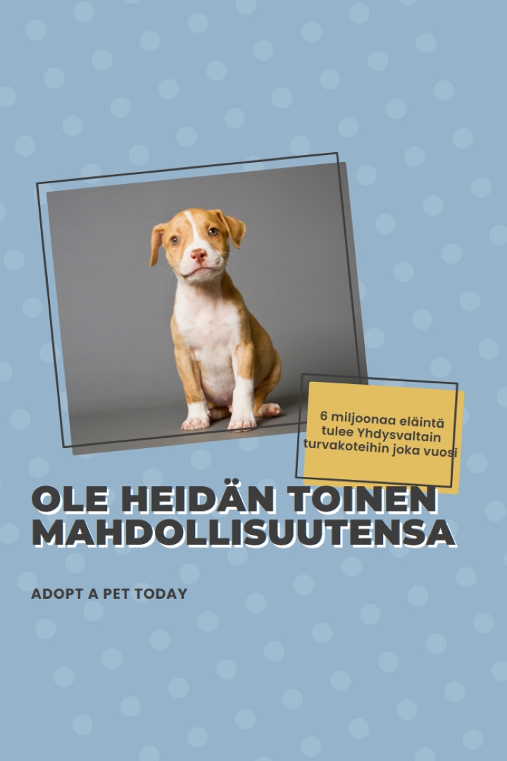 Toisen mahdollisuuden pentu blue modern-bold