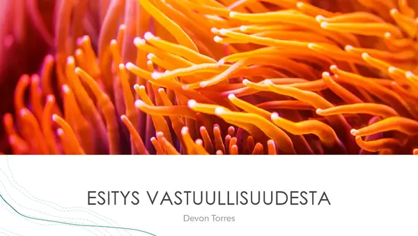 Valtamerellinen esitys organic-simple