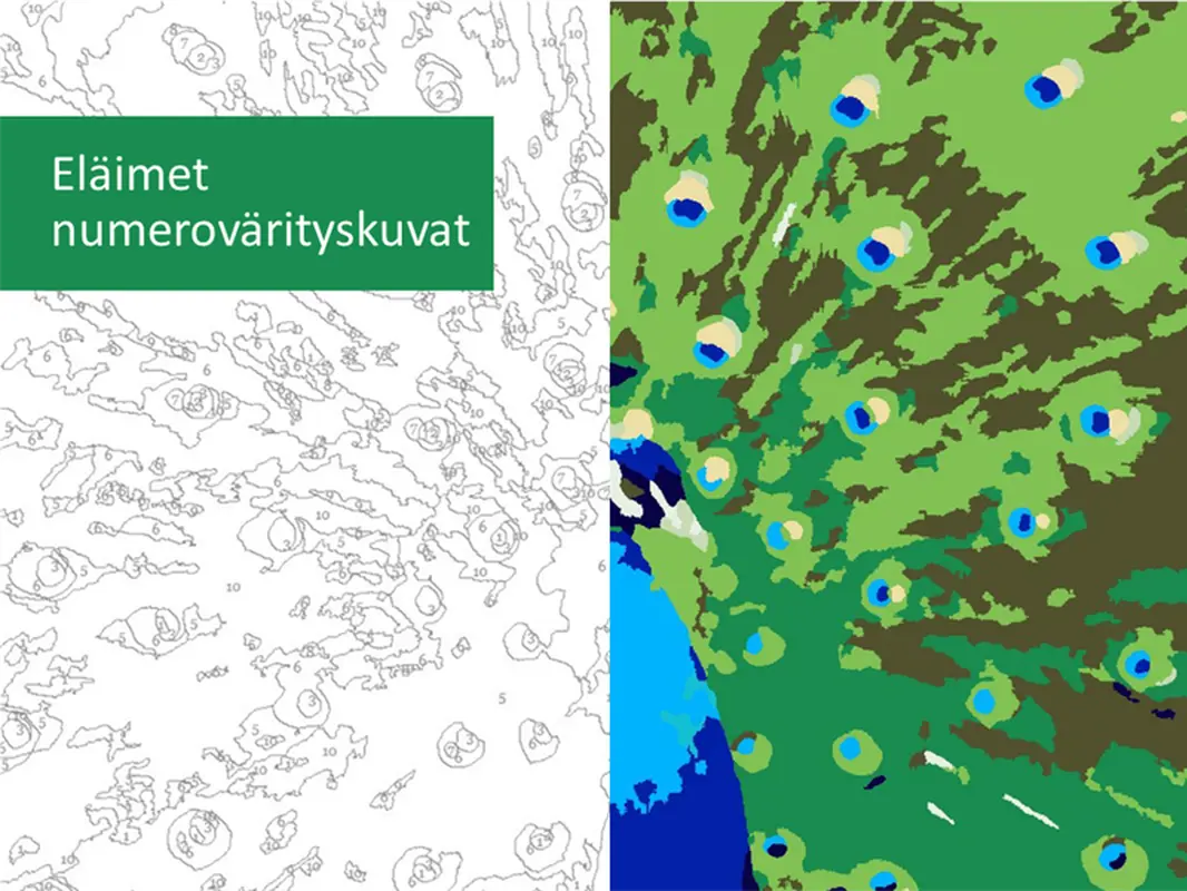 Numeroväritetyt eläimet