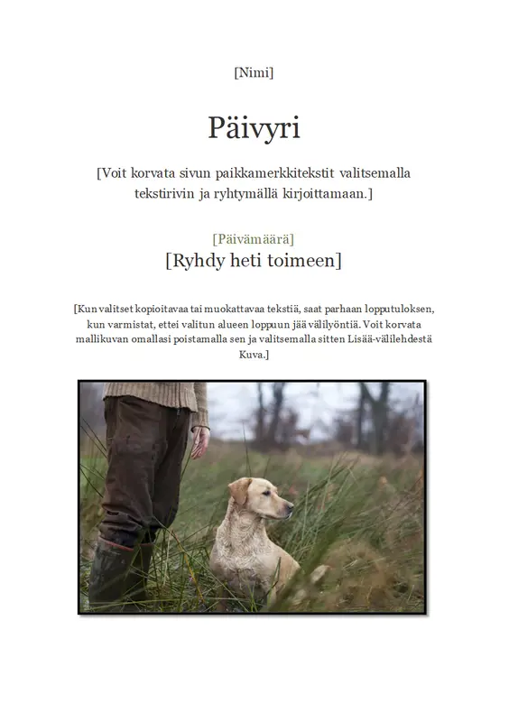 Päivyri