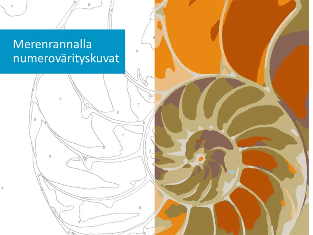 Numeroväritetty merenranta