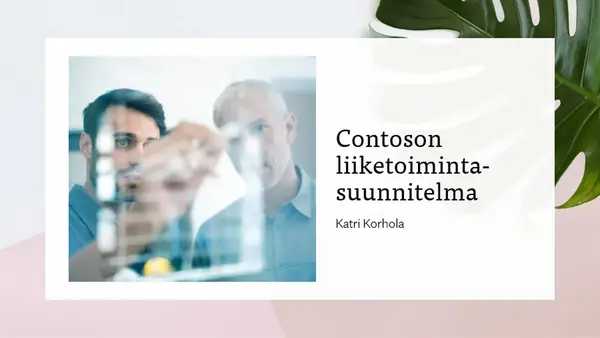 Liiketoimintasuunnitelman esitys organic-simple
