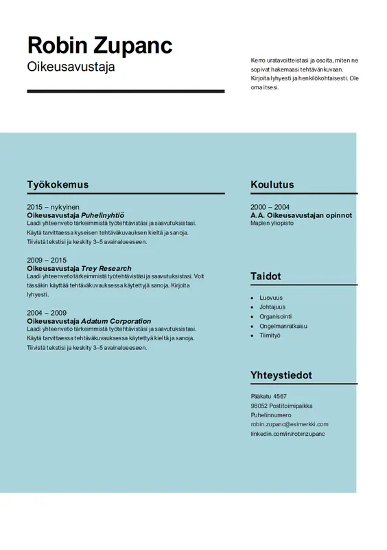 Vaikuttava ansioluettelo modern simple