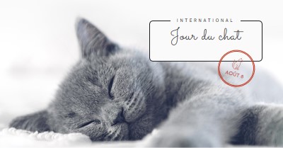 Sieste de chat gray modern-simple