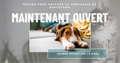 Chats et chiens gray modern-simple