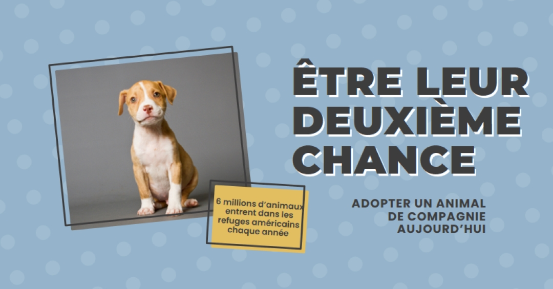 Chiot de la deuxième chance blue modern-bold