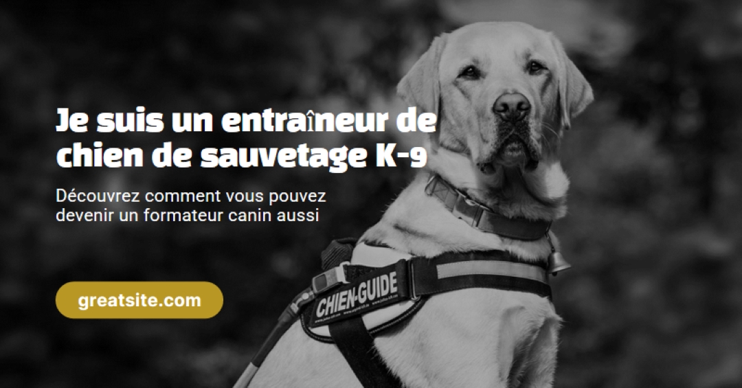 Je suis un éducateur de chien de sauvetage black modern-simple