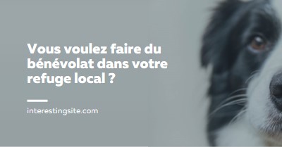 Faites du bénévolat et apportez des encouragements blue modern-simple