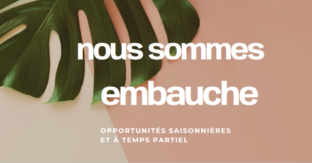 Nous recrutons des travailleurs saisonniers pink modern-simple
