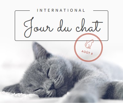 Sieste de chat gray modern-simple