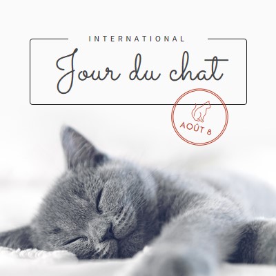 Sieste de chat gray modern-simple