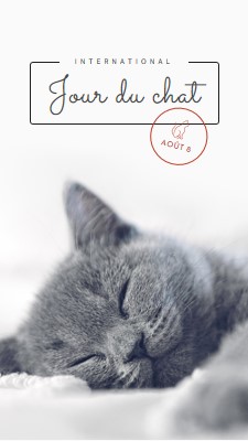 Sieste de chat gray modern-simple