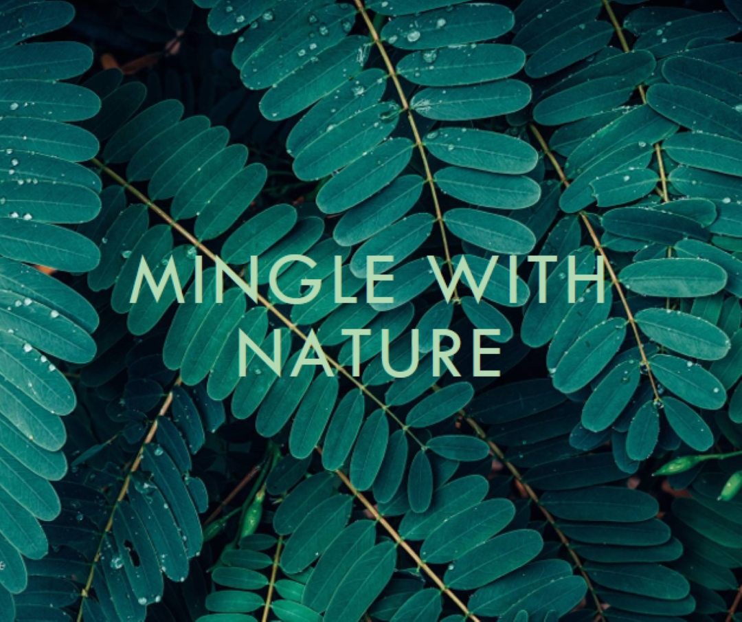 Se mêler à la nature green modern-simple