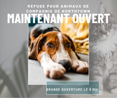 Chats et chiens gray modern-simple