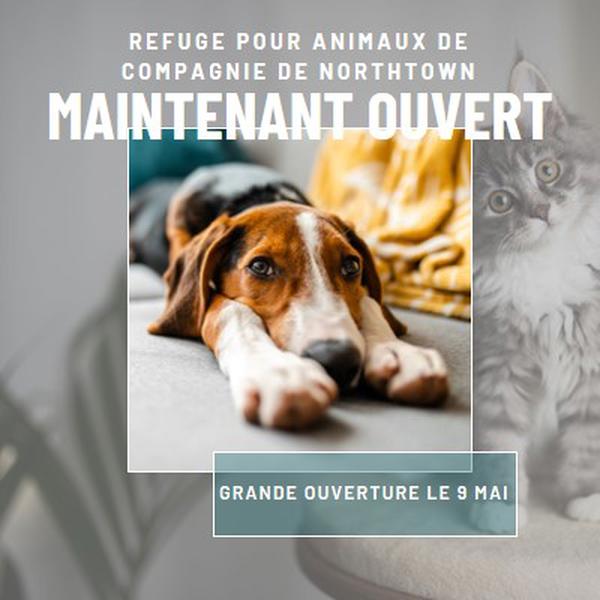 Chats et chiens gray modern-simple