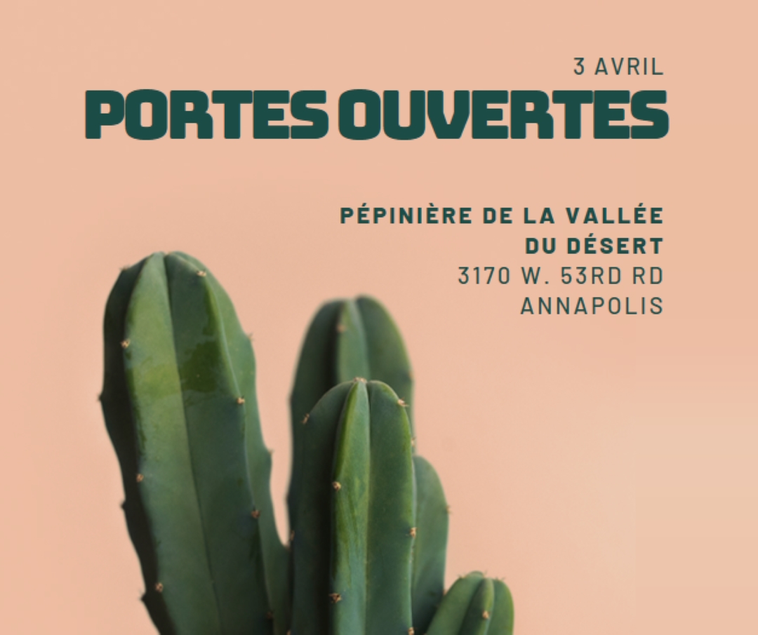 Portes ouvertes du 3 avril pink modern-simple