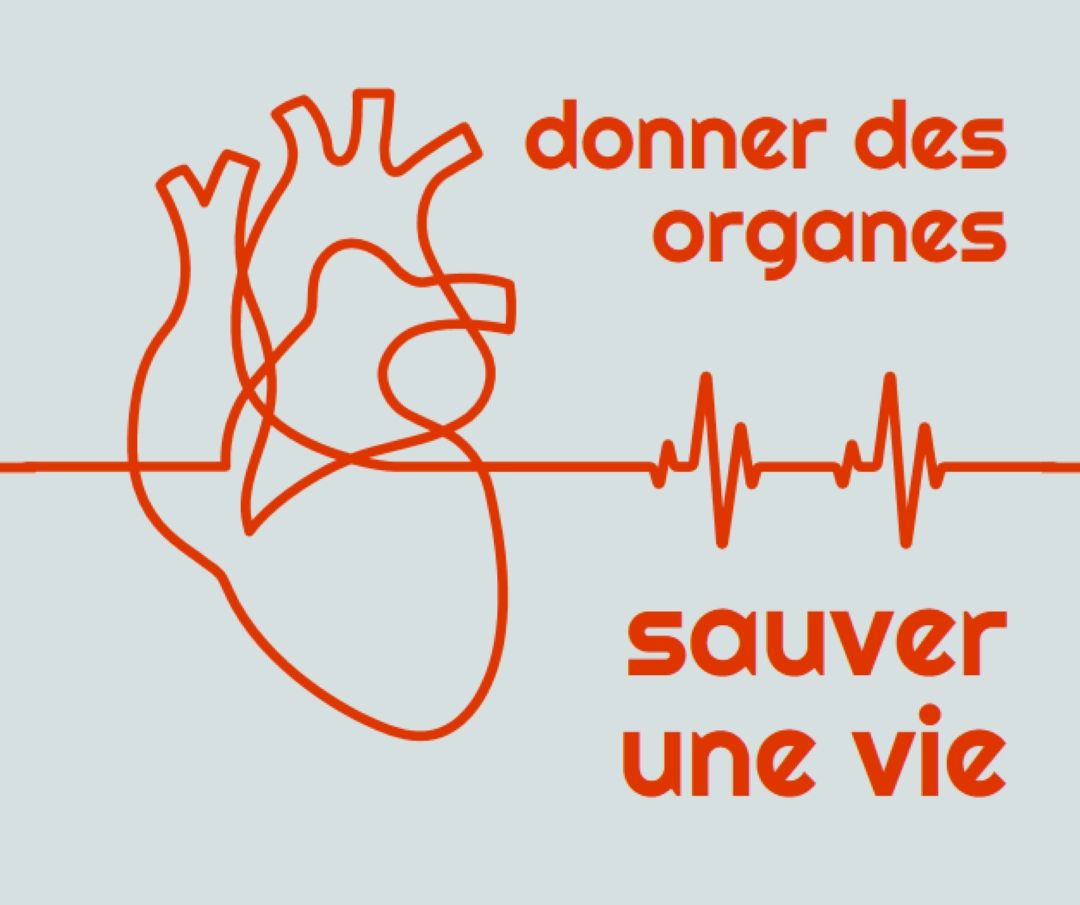 Devenir donneur d’organes blue whimsical-line