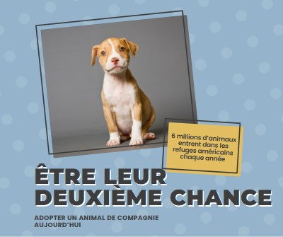 Chiot de la deuxième chance blue modern-bold