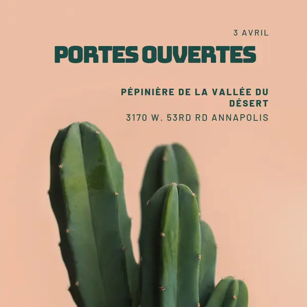 Portes ouvertes du 3 avril pink modern-simple