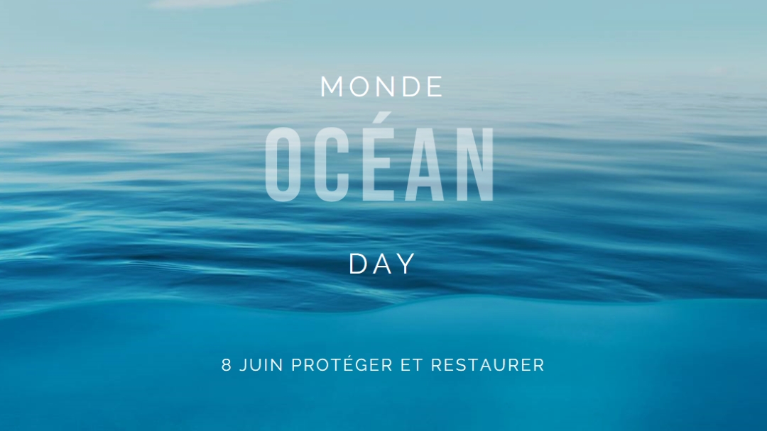 Devenir salé blue modern-simple