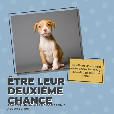 Chiot de la deuxième chance blue modern-bold