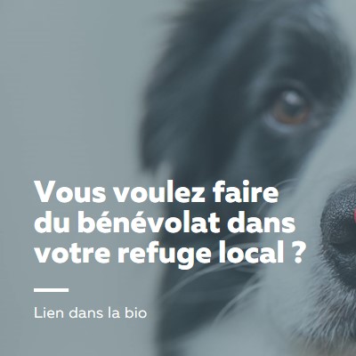 Faites du bénévolat et apportez des encouragements blue modern-simple