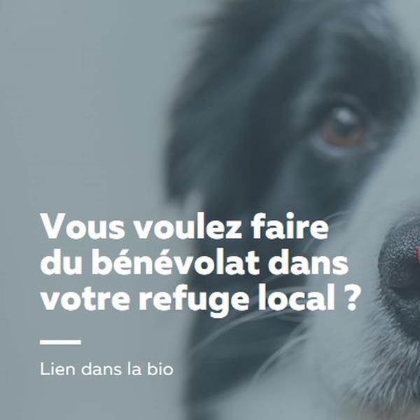 Faites du bénévolat et apportez des encouragements blue modern-simple