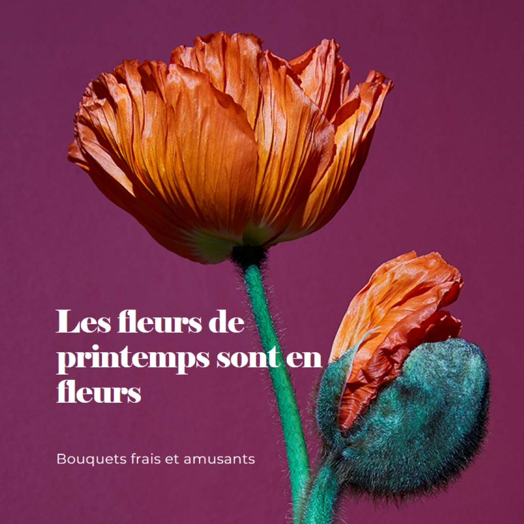 Fleurs fraîches purple modern-simple