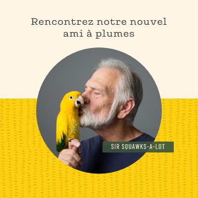 Oiseau dans la main yellow organic-simple