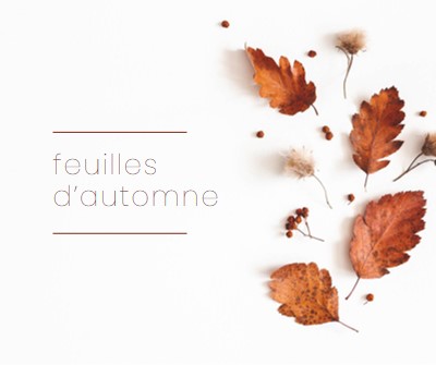 Les feuilles sont tombées white modern-simple