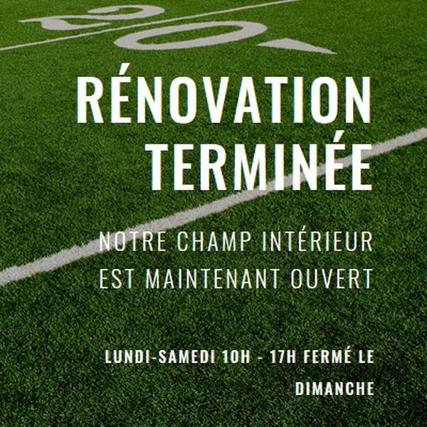 Achèvement de la rénovation green modern-simple