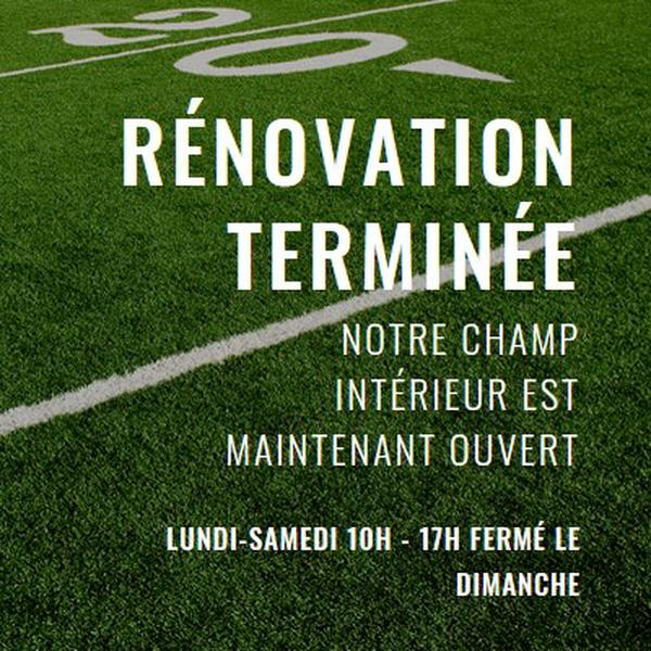 Achèvement de la rénovation green modern-simple